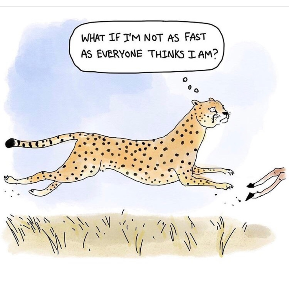 Meet your Posher, Rebecca